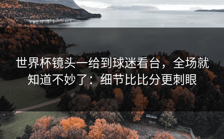 世界杯镜头一给到球迷看台,全场就知道不妙了:细节比比分更刺眼 世界杯镜头一给到球迷看台,全场就知道不妙了:细节比比分更刺眼