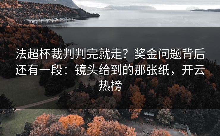 法超杯裁判判完就走？奖金问题背后还有一段：镜头给到的那张纸，开云热榜