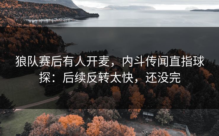 狼队赛后有人开麦，内斗传闻直指球探：后续反转太快，还没完