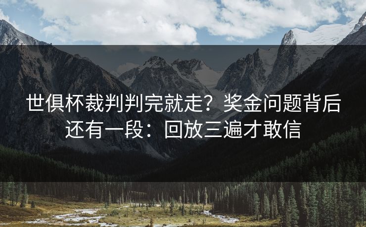 世俱杯裁判判完就走？奖金问题背后还有一段：回放三遍才敢信
