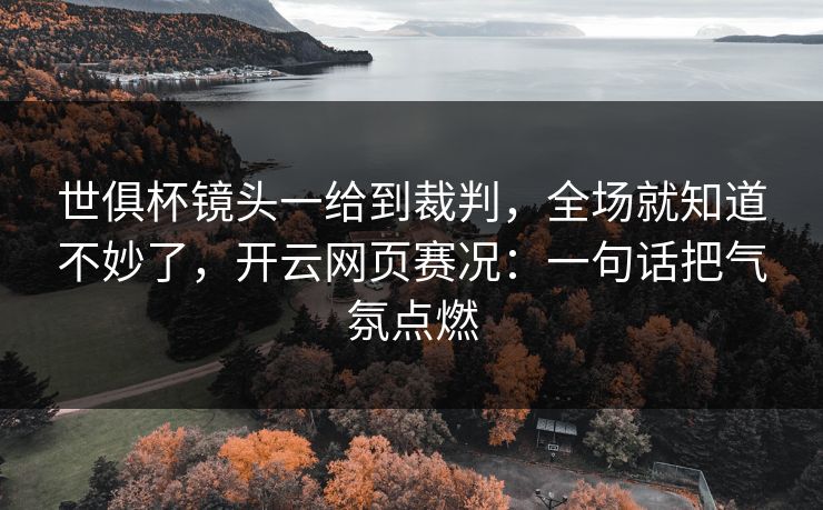 世俱杯镜头一给到裁判，全场就知道不妙了，开云网页赛况：一句话把气氛点燃