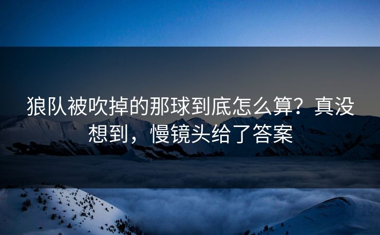 狼队被吹掉的那球到底怎么算？真没想到，慢镜头给了答案