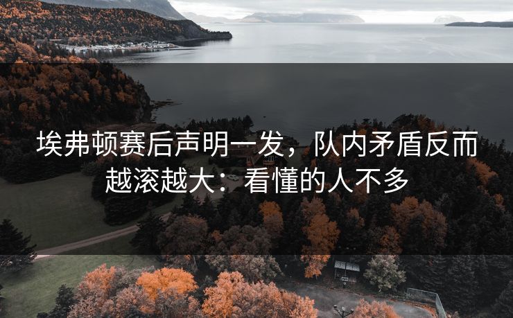 埃弗顿赛后声明一发，队内矛盾反而越滚越大：看懂的人不多
