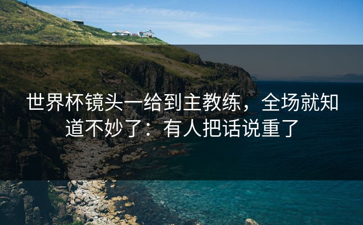 世界杯镜头一给到主教练，全场就知道不妙了：有人把话说重了