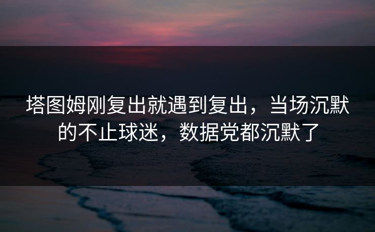 塔图姆刚复出就遇到复出，当场沉默的不止球迷，数据党都沉默了