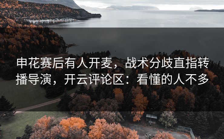 申花赛后有人开麦，战术分歧直指转播导演，开云评论区：看懂的人不多