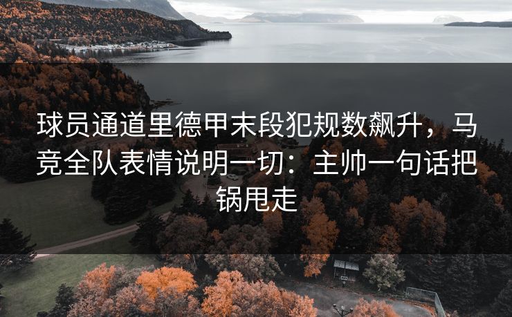 球员通道里德甲末段犯规数飙升,马竞全队表情说明一切:主帅一句话把锅甩走 球员通道里德甲末段犯规数飙升,马竞全队表情说明一切:主帅一句话把锅甩走